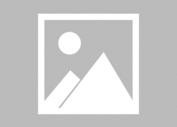 娱乐吃瓜蜀黍任嘉伦小说,娱乐吃瓜蜀黍的甜蜜复仇记