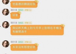 娱乐类吃瓜小说,瓜田里的明星秘闻