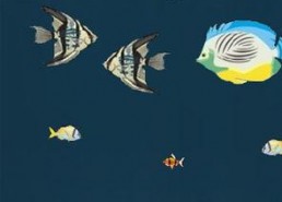 深海娱乐吃瓜,揭秘娱乐圈的“吃瓜”风云