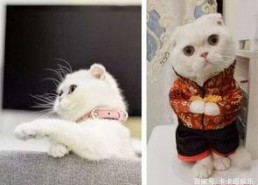 娱乐吃瓜君说刘二豆,娱乐吃瓜君揭秘娱乐圈新宠