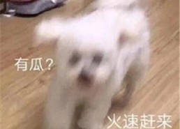 娱乐圈吃瓜微信聊天,幕后八卦大曝光