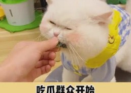 吃瓜群众在线吃瓜网,揭秘娱乐圈幕后故事