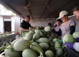 718sx吃瓜娱乐去哪里了,探寻消失的瓜圈传奇