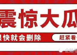 娱乐圈吃瓜合集文件,揭秘明星幕后故事与精彩瞬间