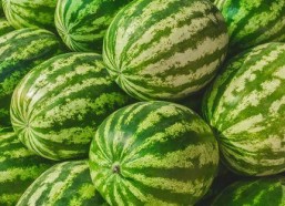 娱乐吃瓜素材在哪找到,吃瓜素材大搜集，带你一探究竟