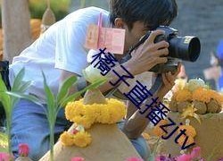 娱乐718吃瓜贴吧,揭秘娱乐圈最新“瓜田”盛况