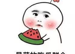 娱乐吃瓜菌人人有苦衷,人人有苦衷，吃瓜菌带你探秘幕后真相