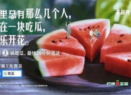 娱乐吃瓜的文案,吃瓜群众必备的幕后花絮大汇总