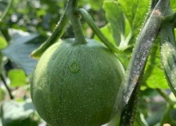 娱乐瓜吃瓜,揭秘明星幕后故事