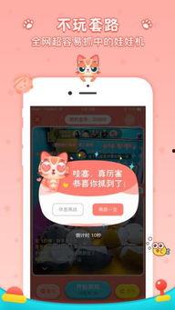 喵星娱乐每日吃瓜,每日吃瓜，揭秘娱乐圈幕后故事